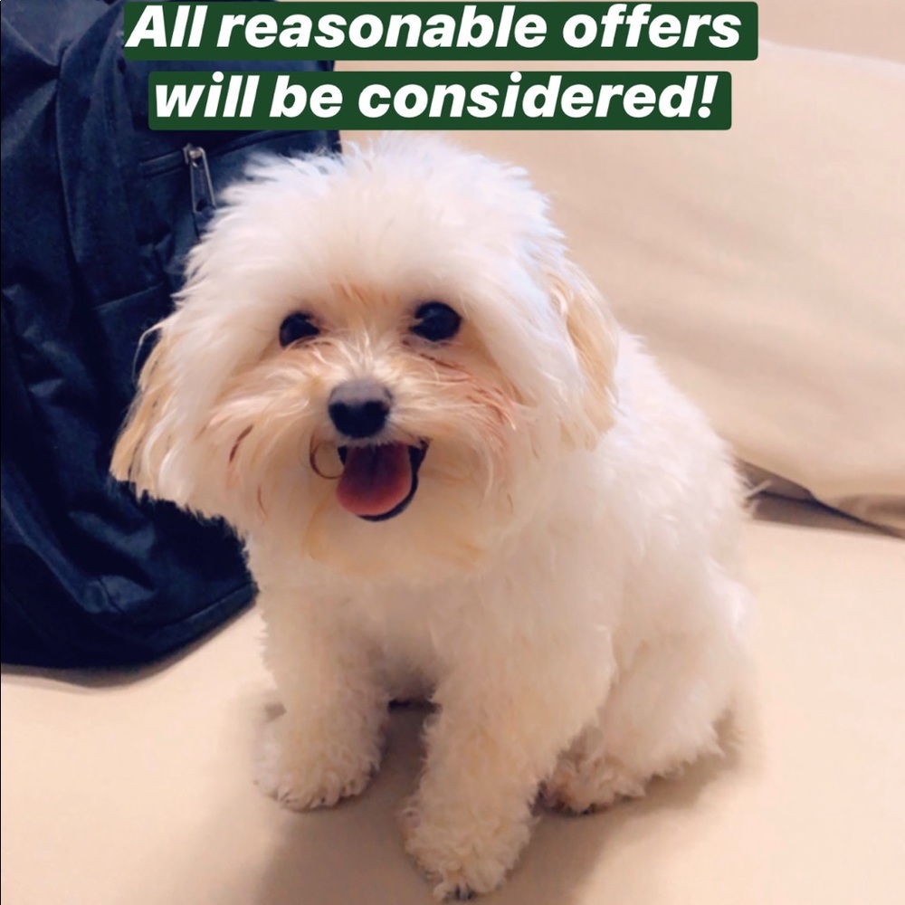 Make an offer!